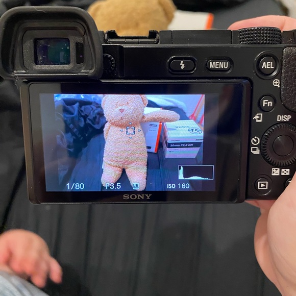 Sony a6100 and lenses - Picture 7 of 7